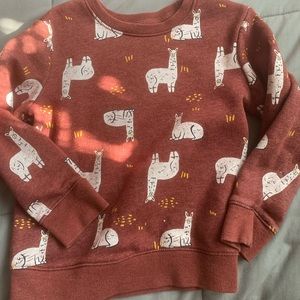 Llama Sweatshirt